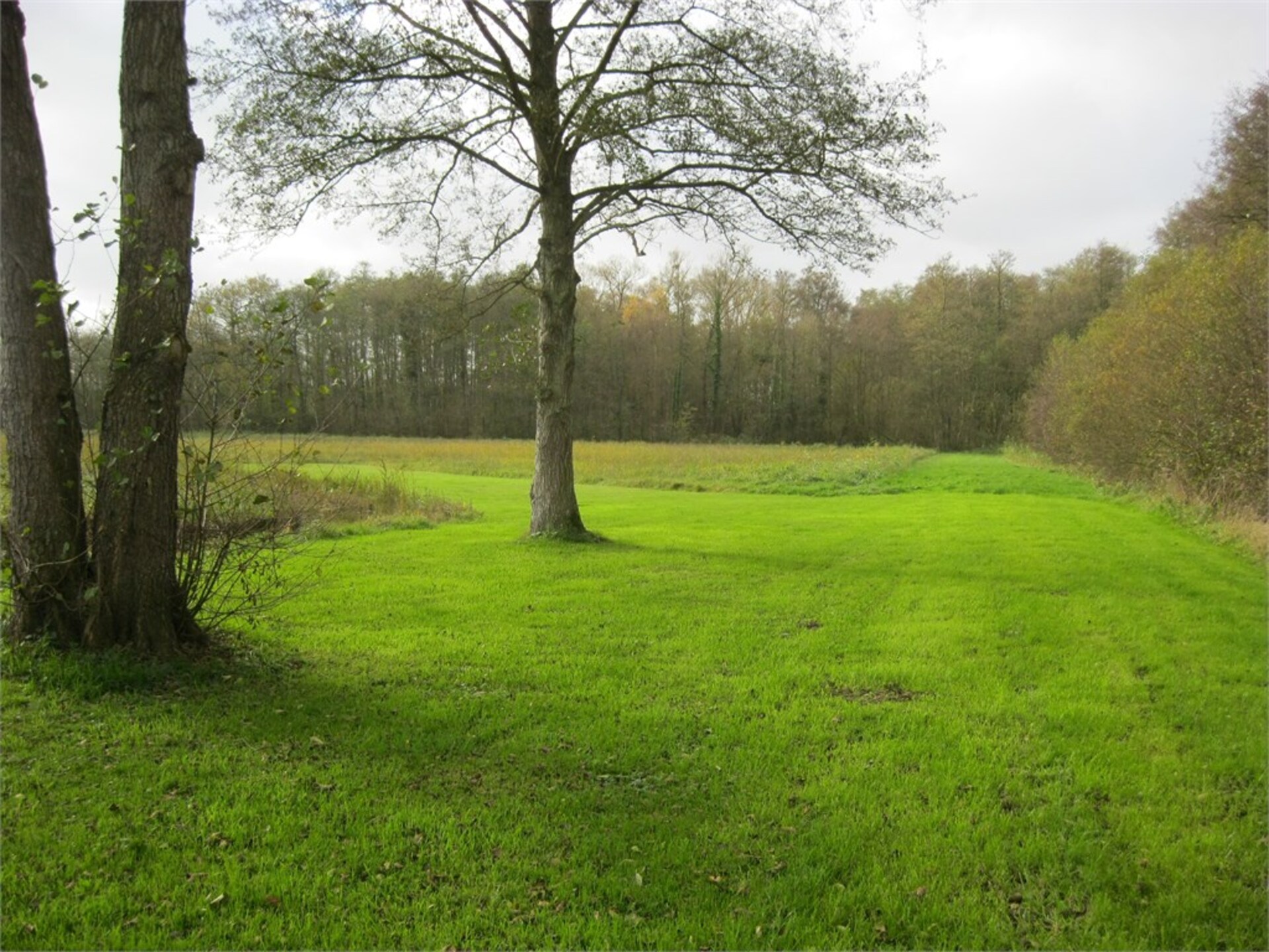 Terrain