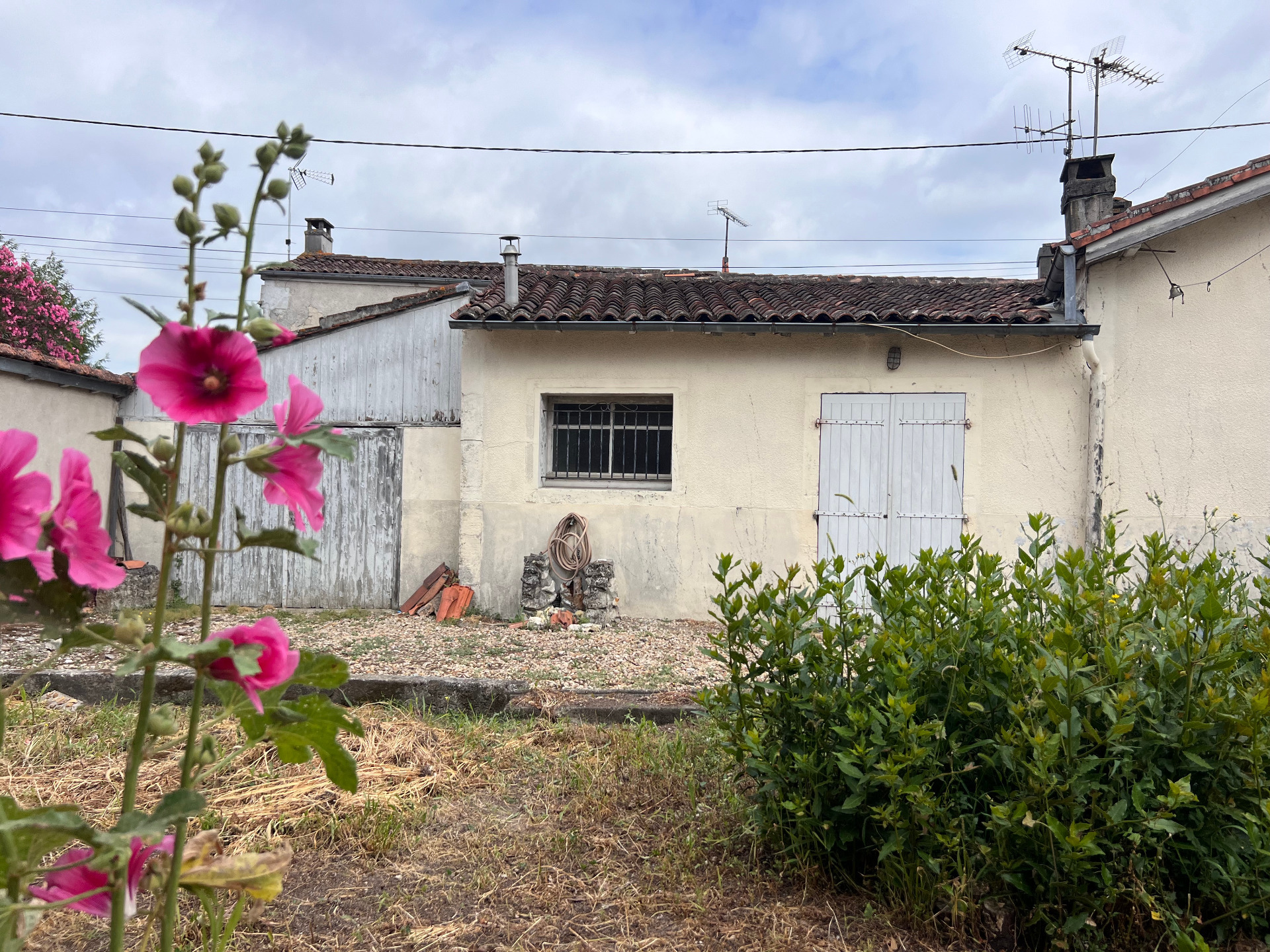 Maison