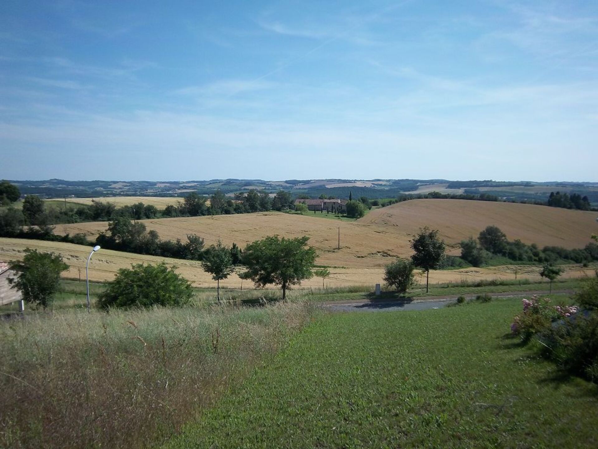 Terrain
