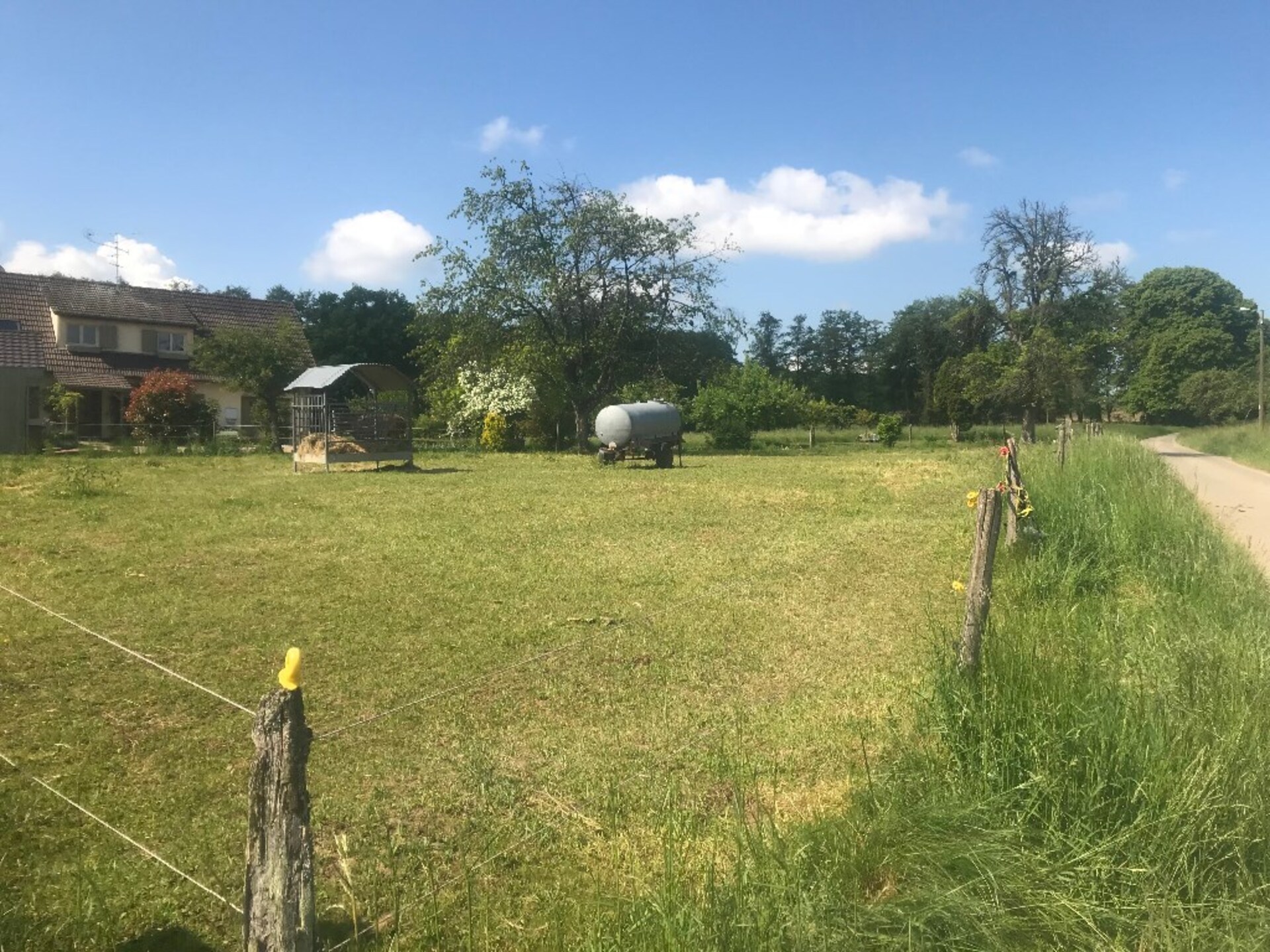 Land