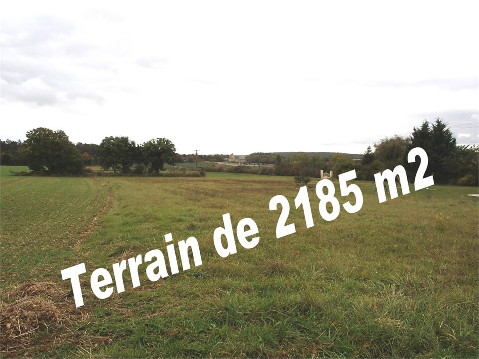 Terrain
