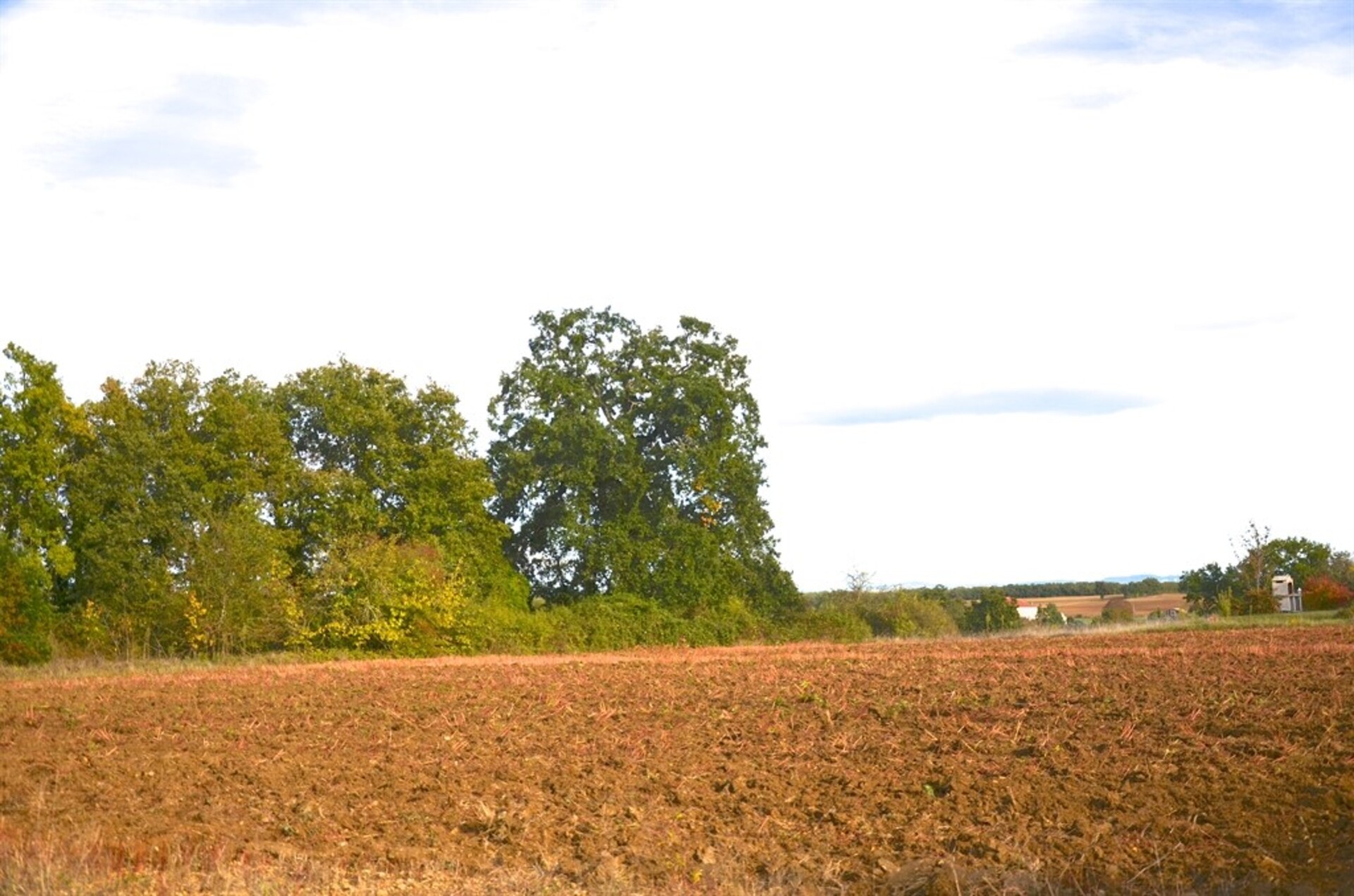 Terrain