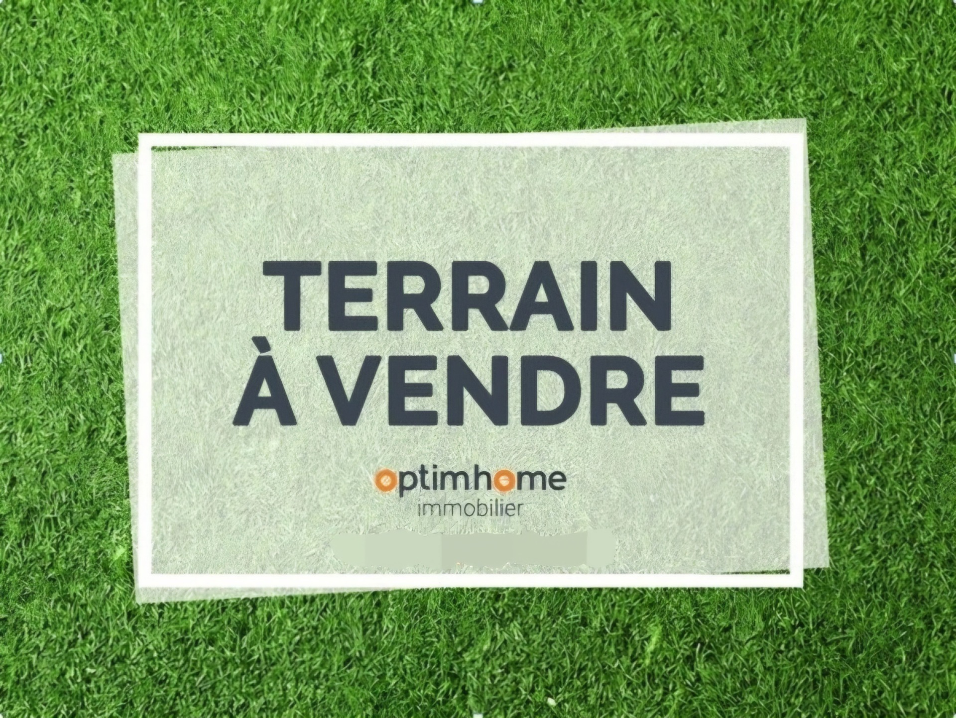 Terrain