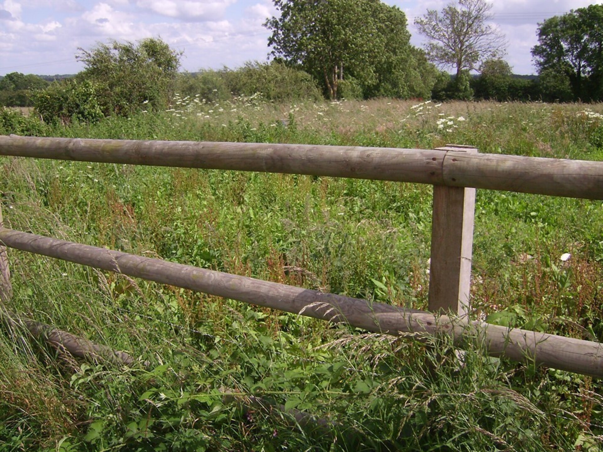 Terrain