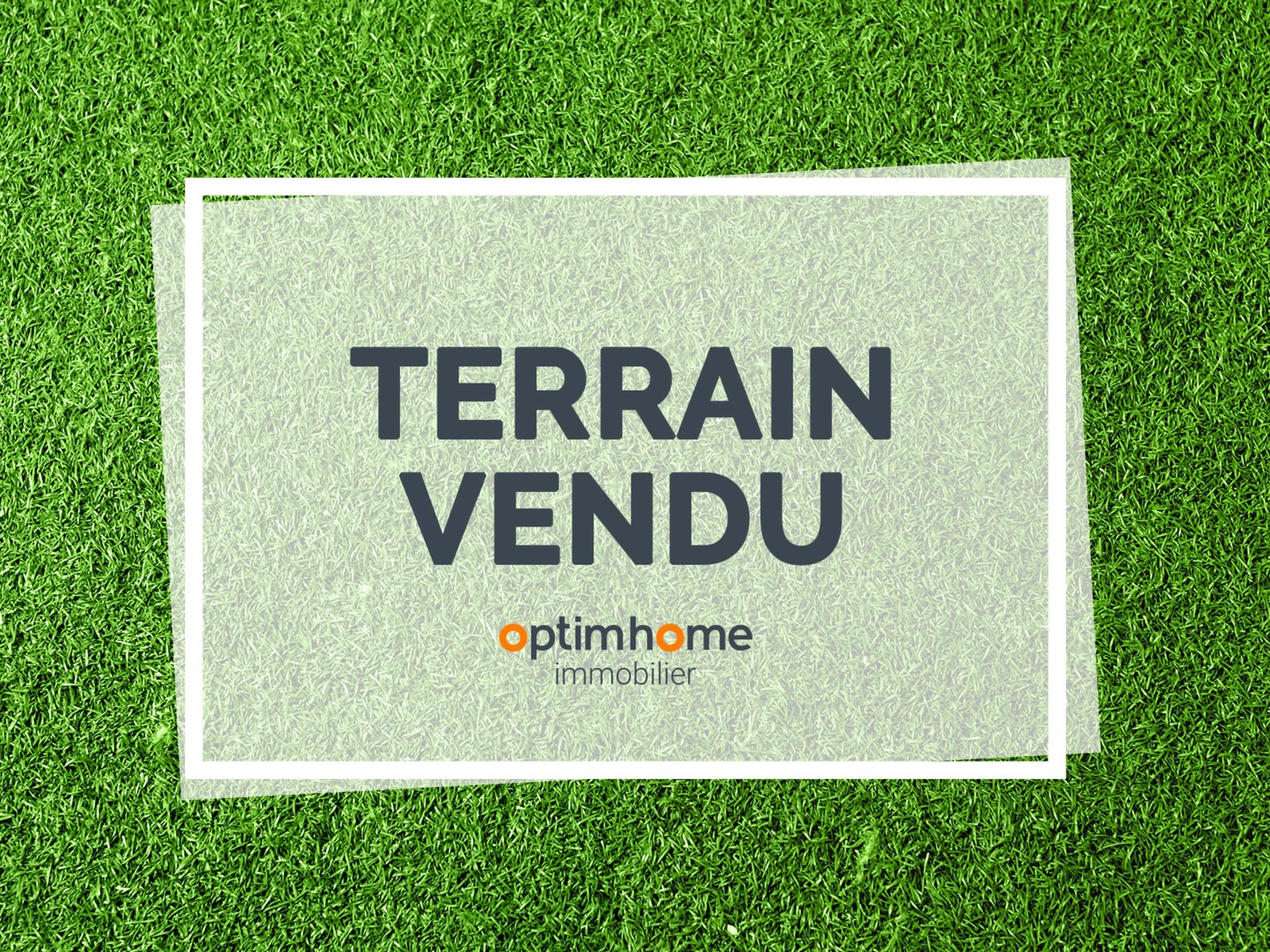 Terrain