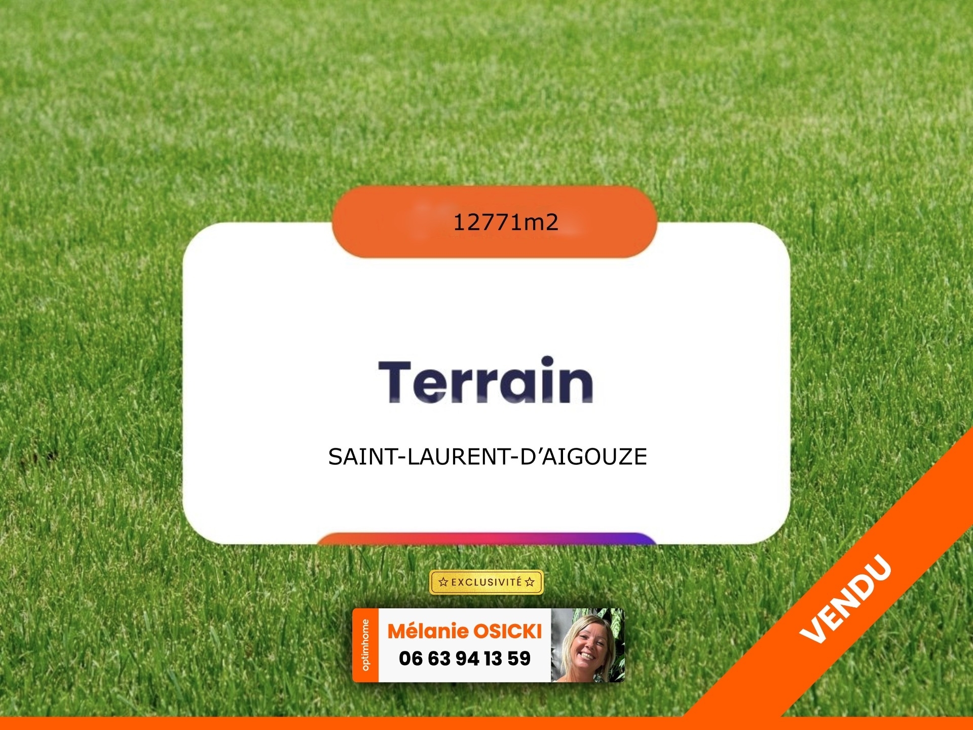 Terrain