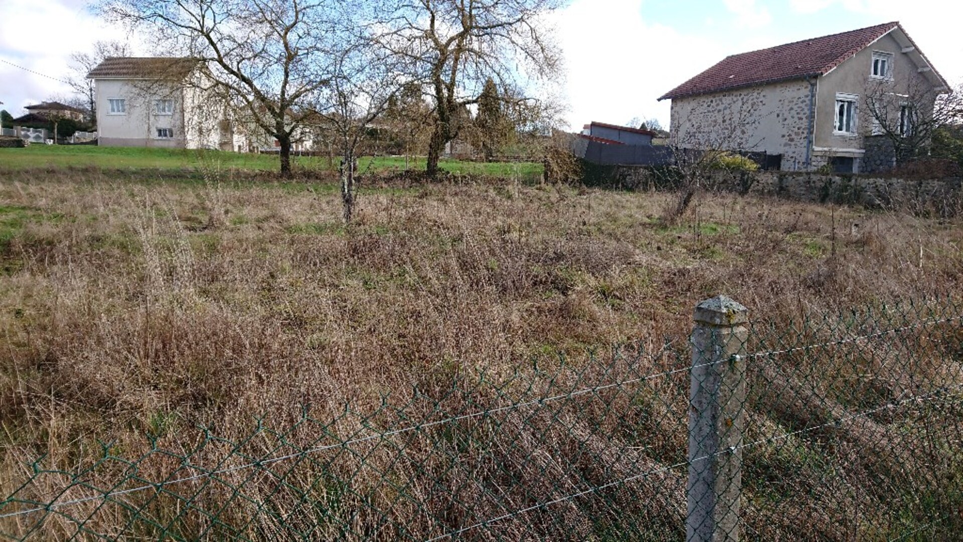 Terrain