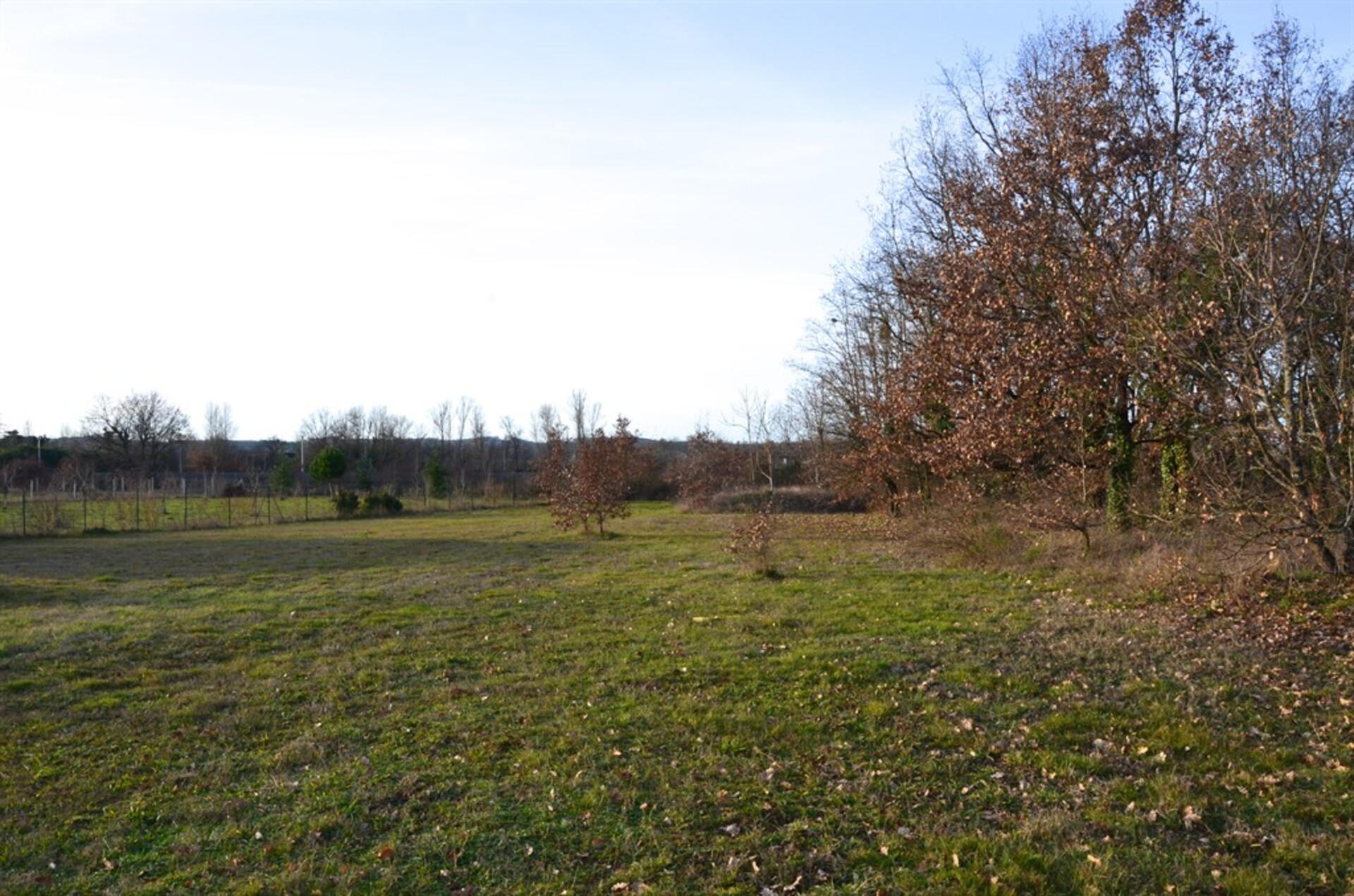 Terrain