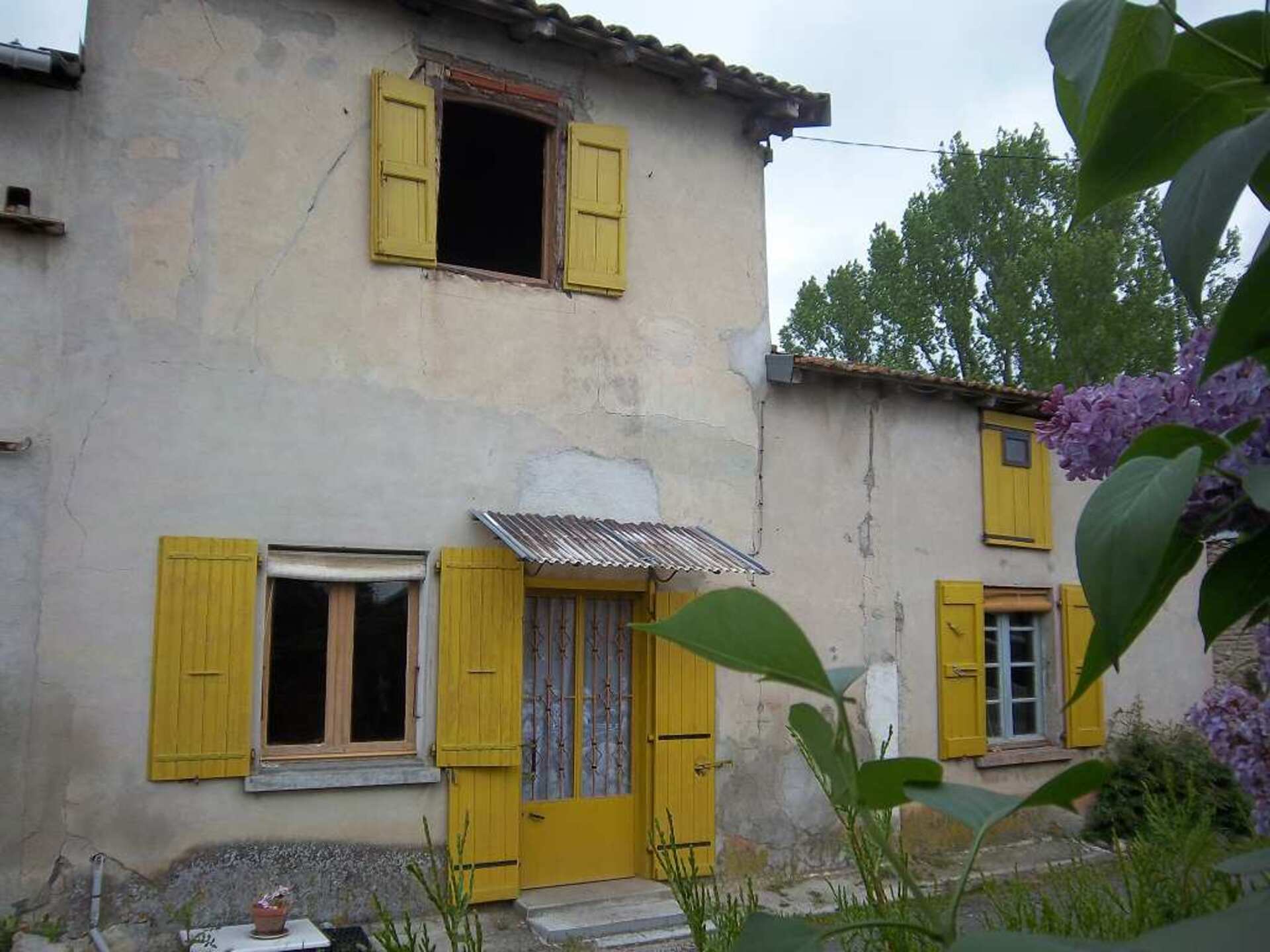 Maison