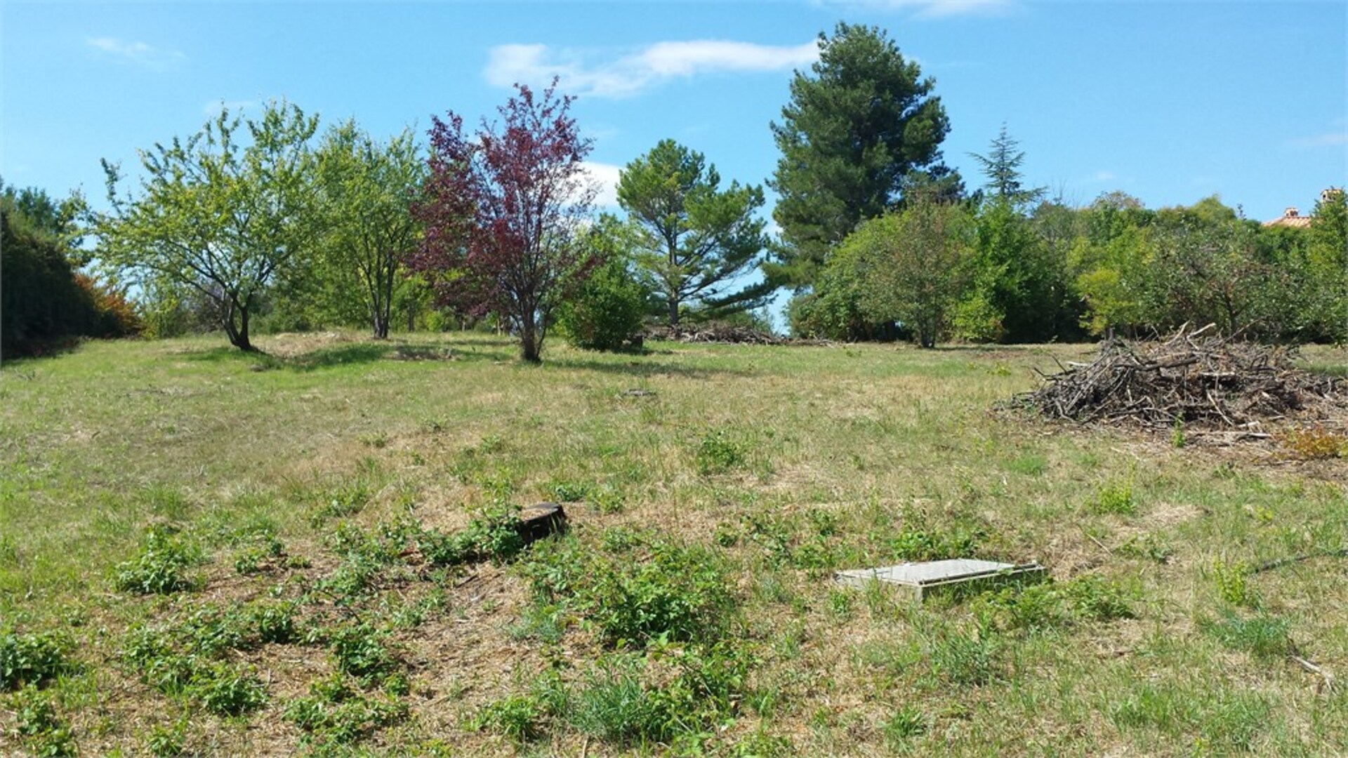 Terrain