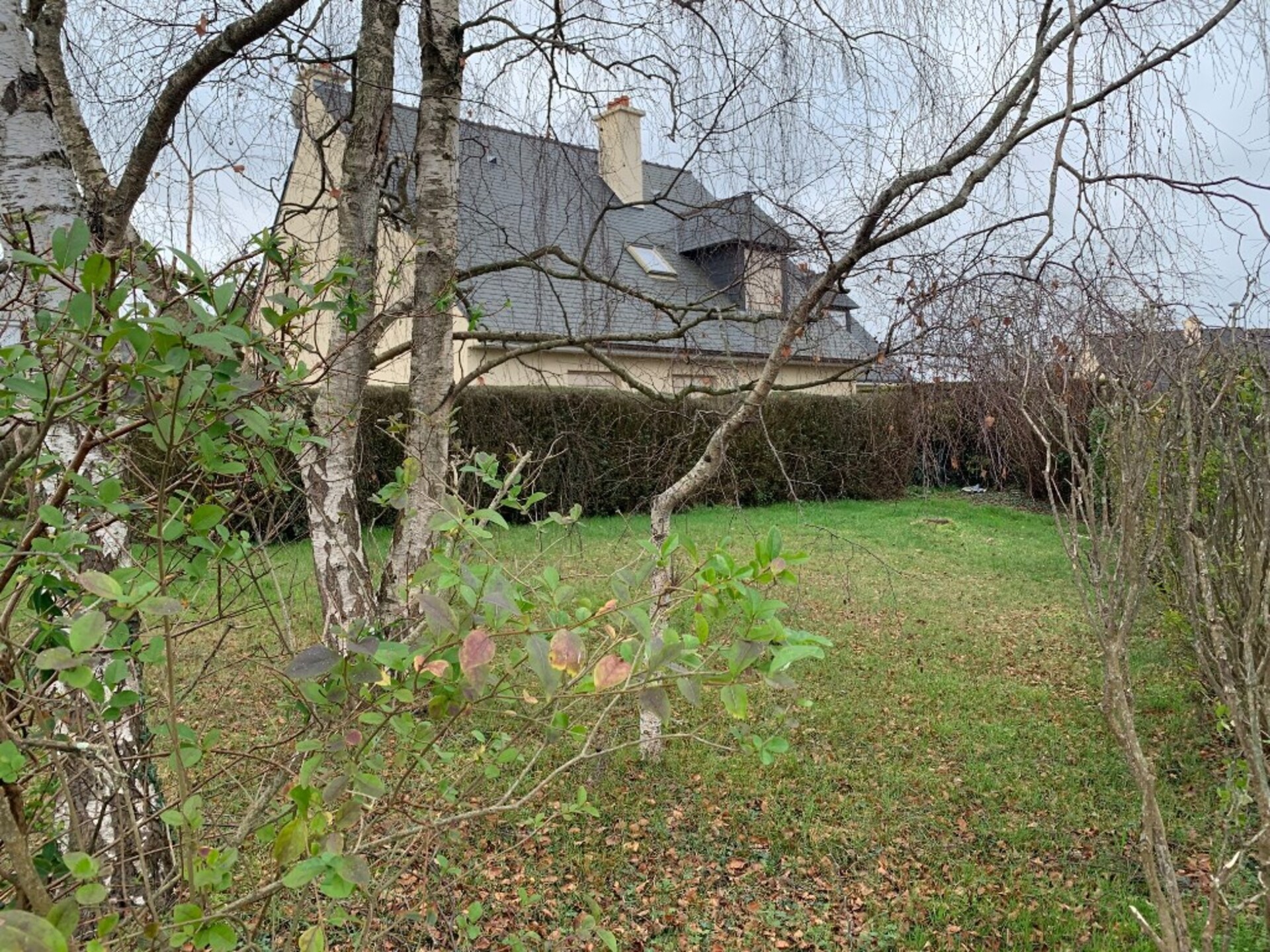 Maison