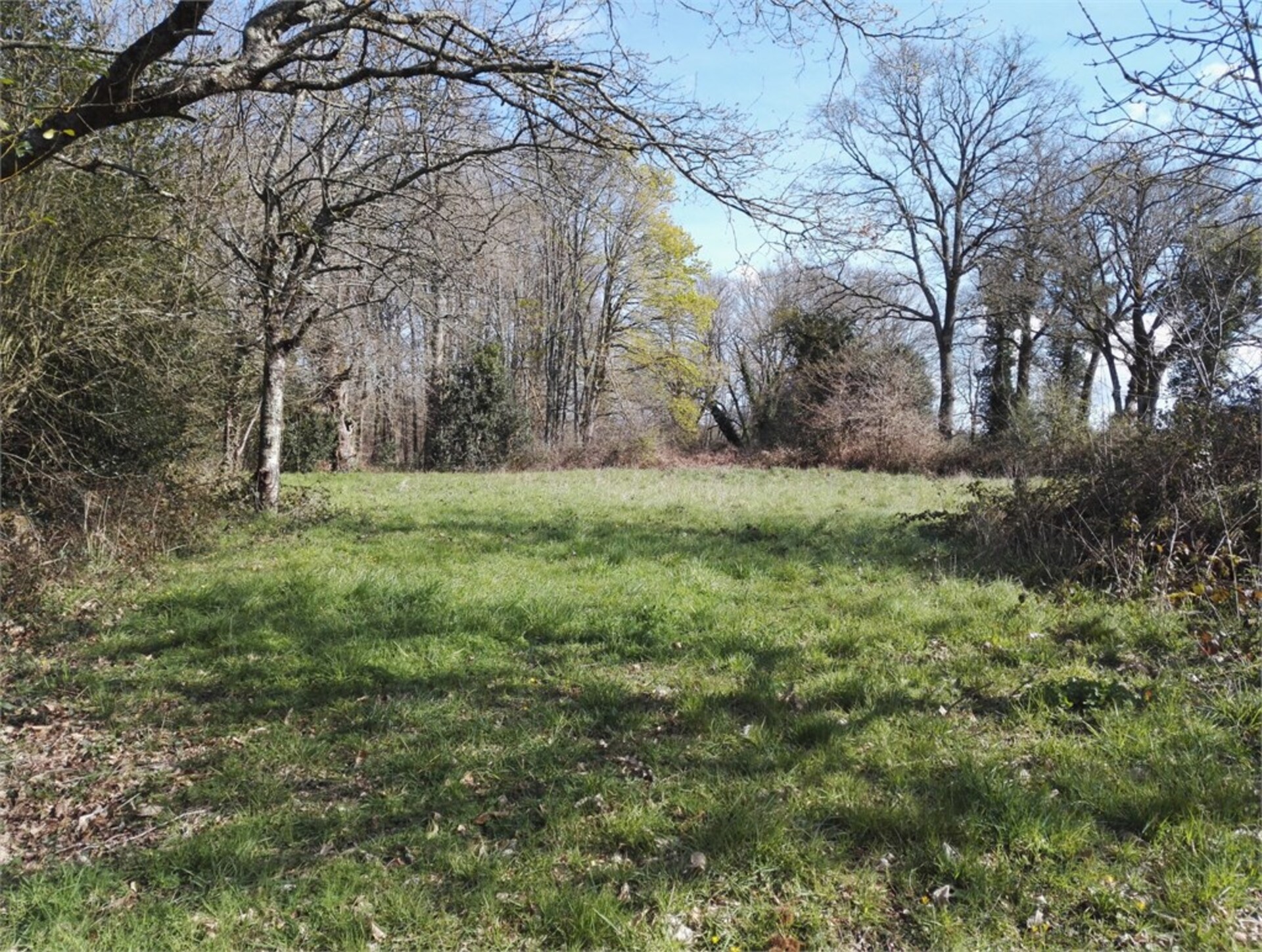 Terrain