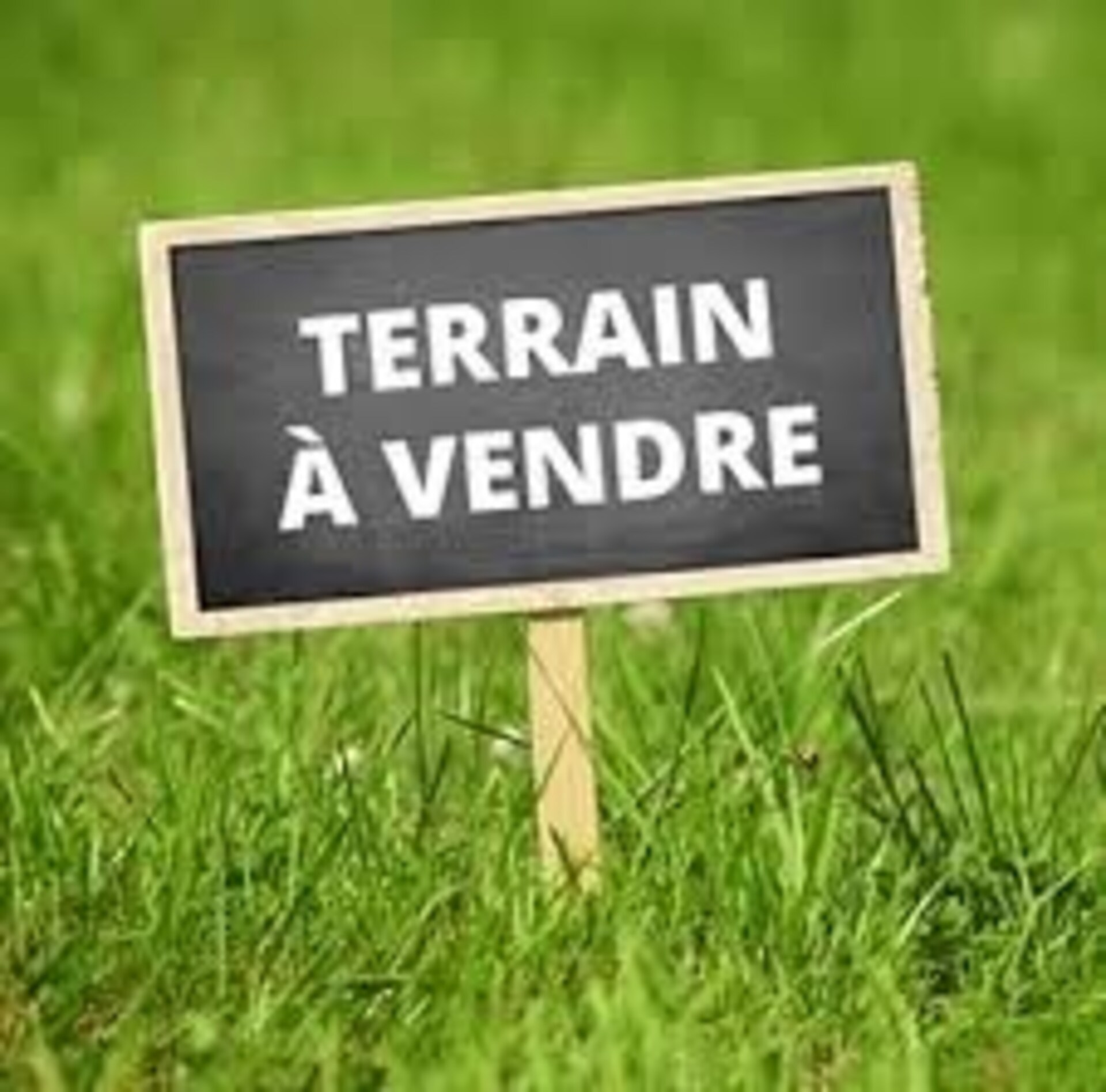 Terrain