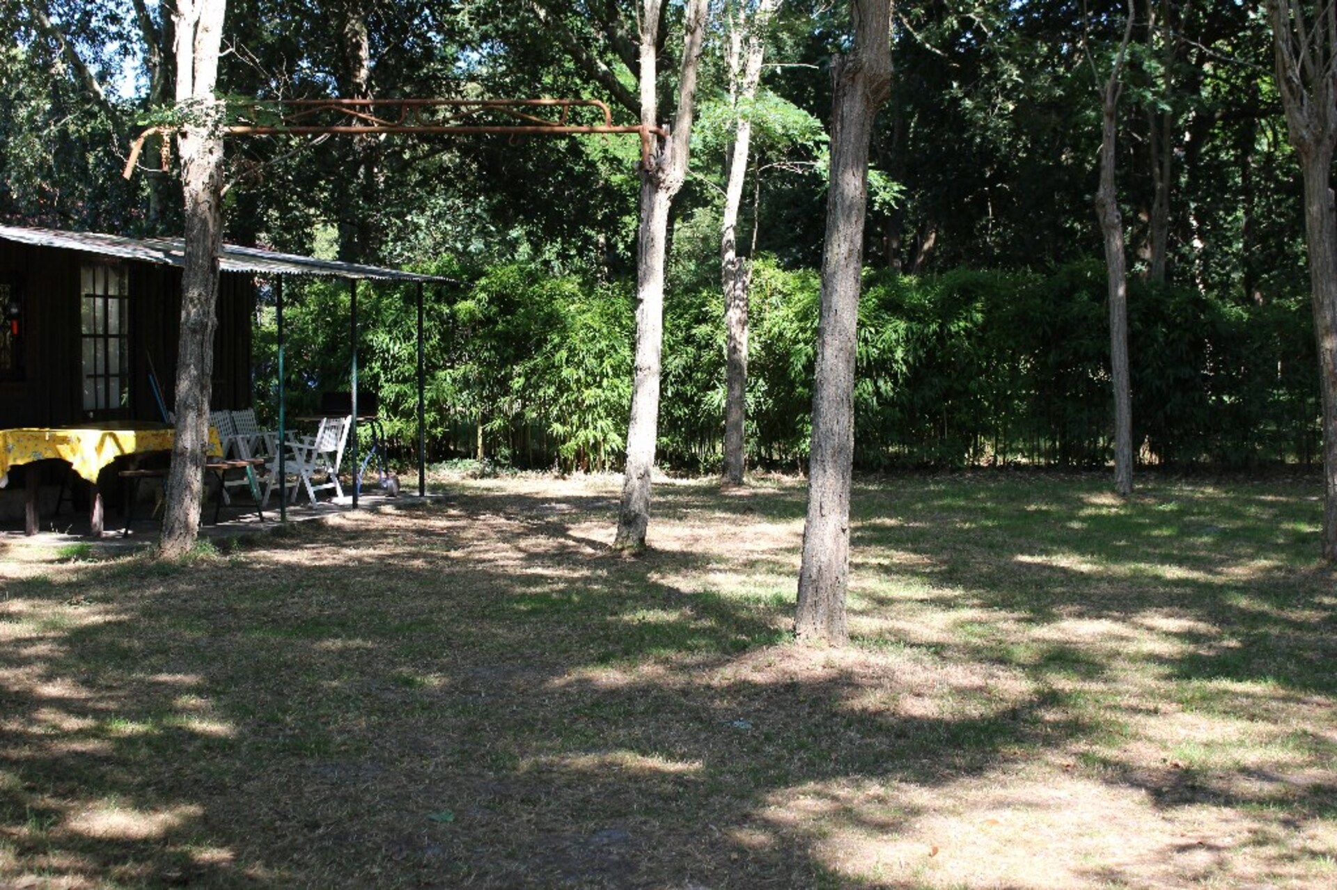 Terrain