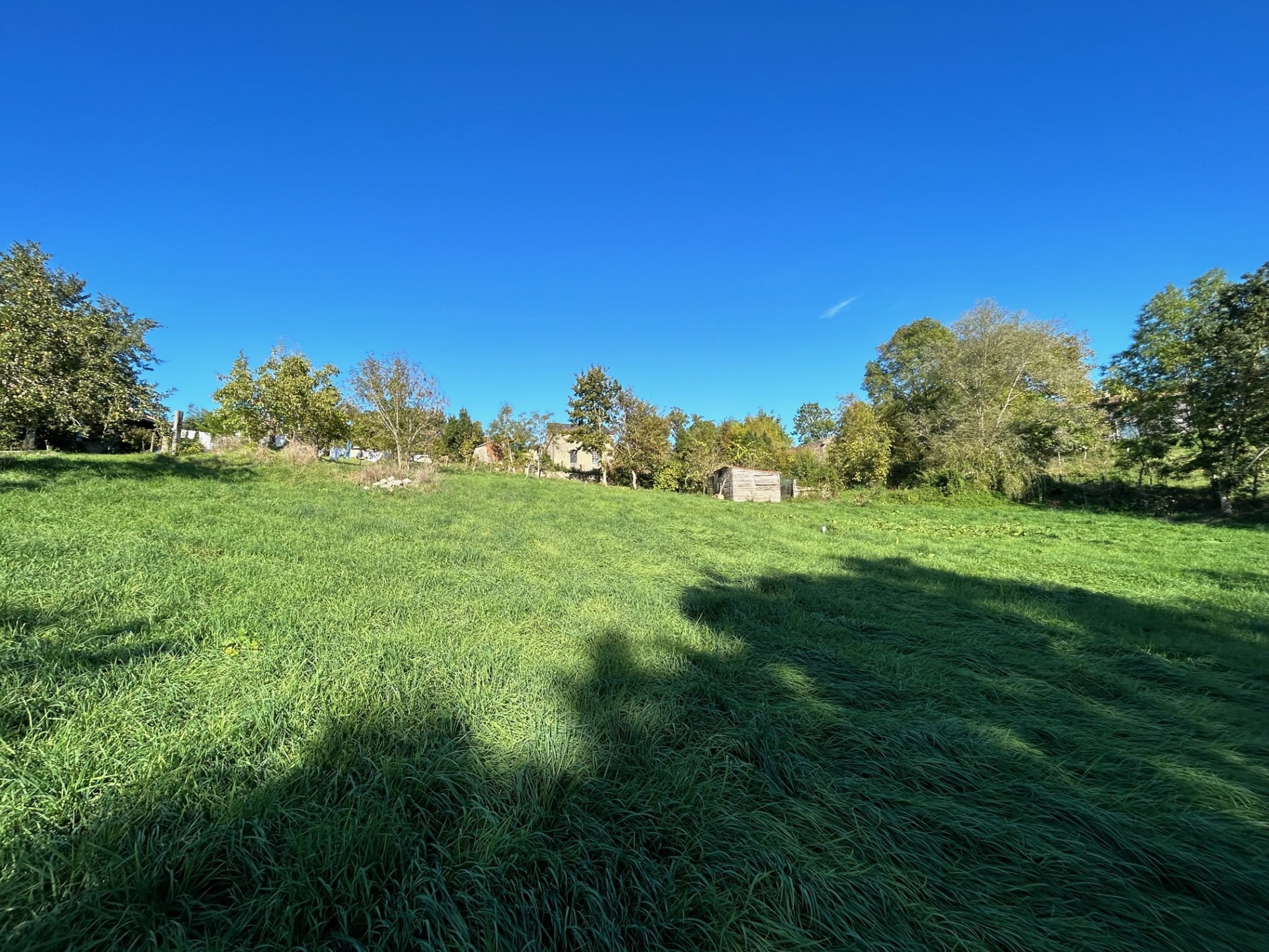 Terrain