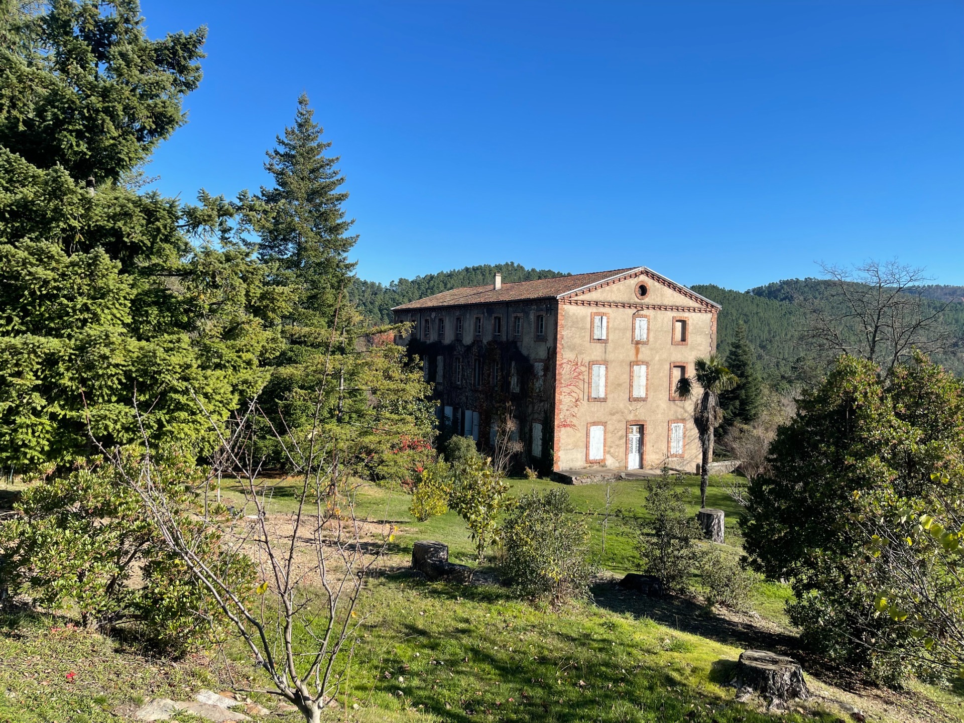 Maison