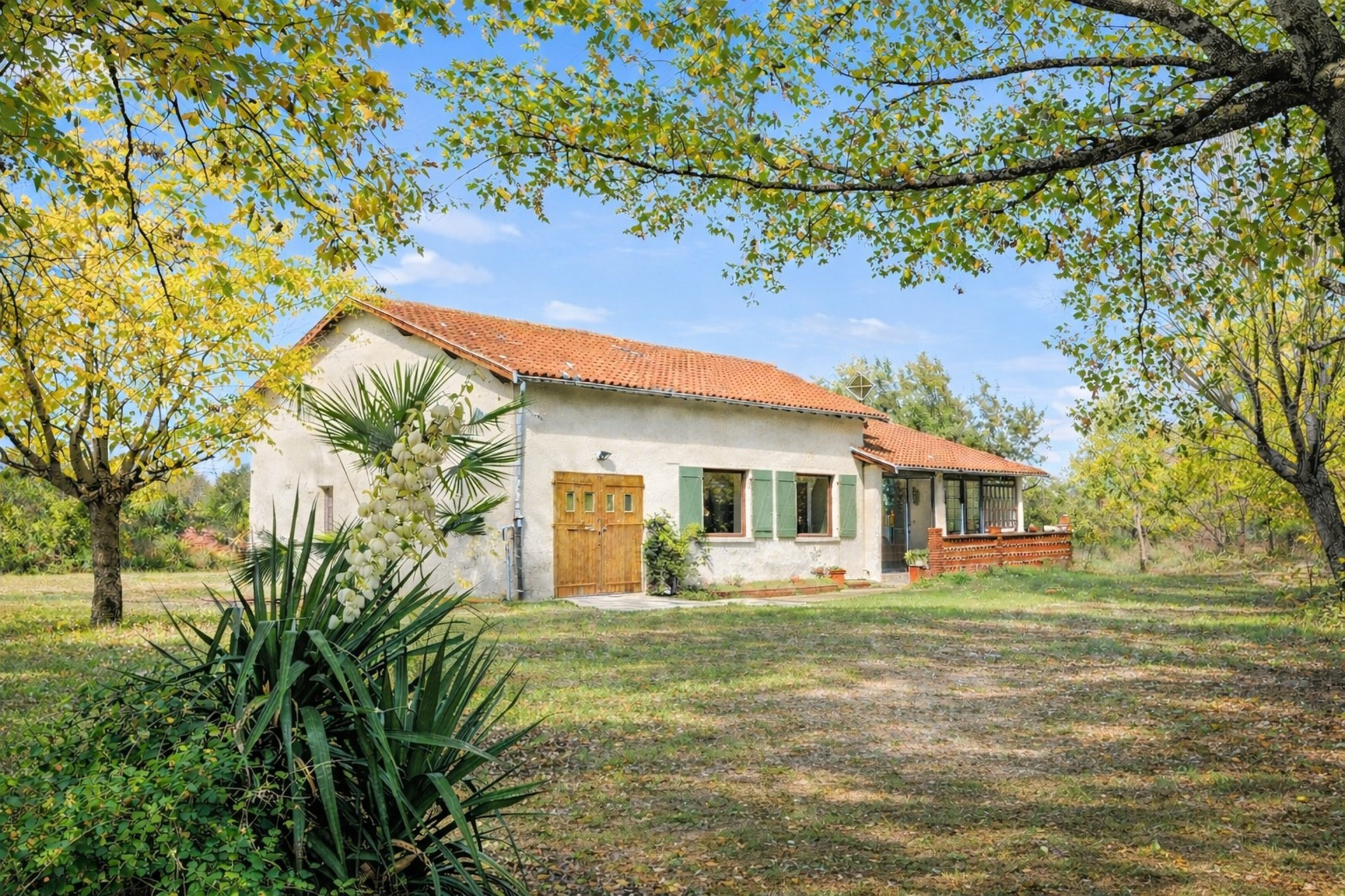 Maison