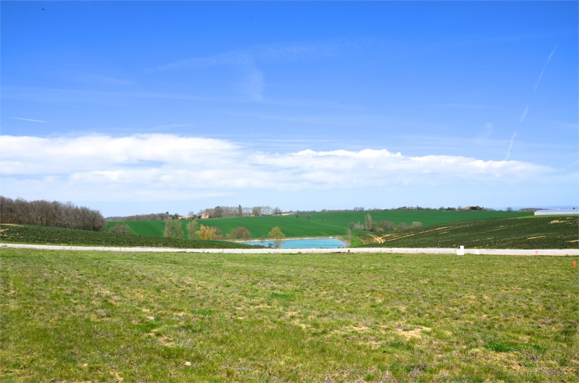 Terrain