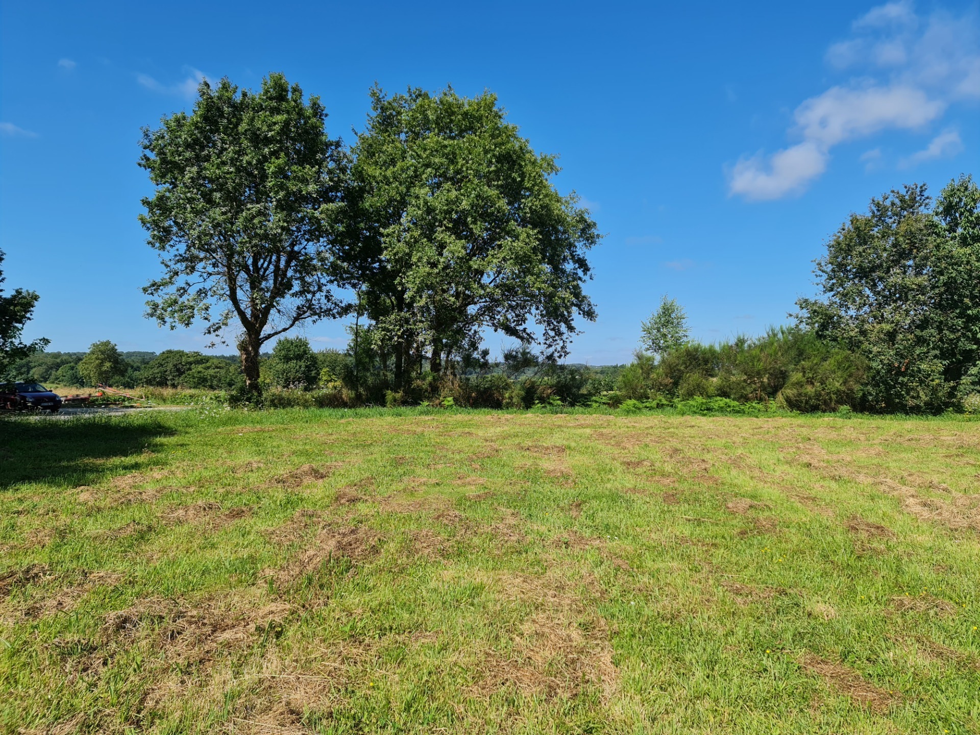 Terrain