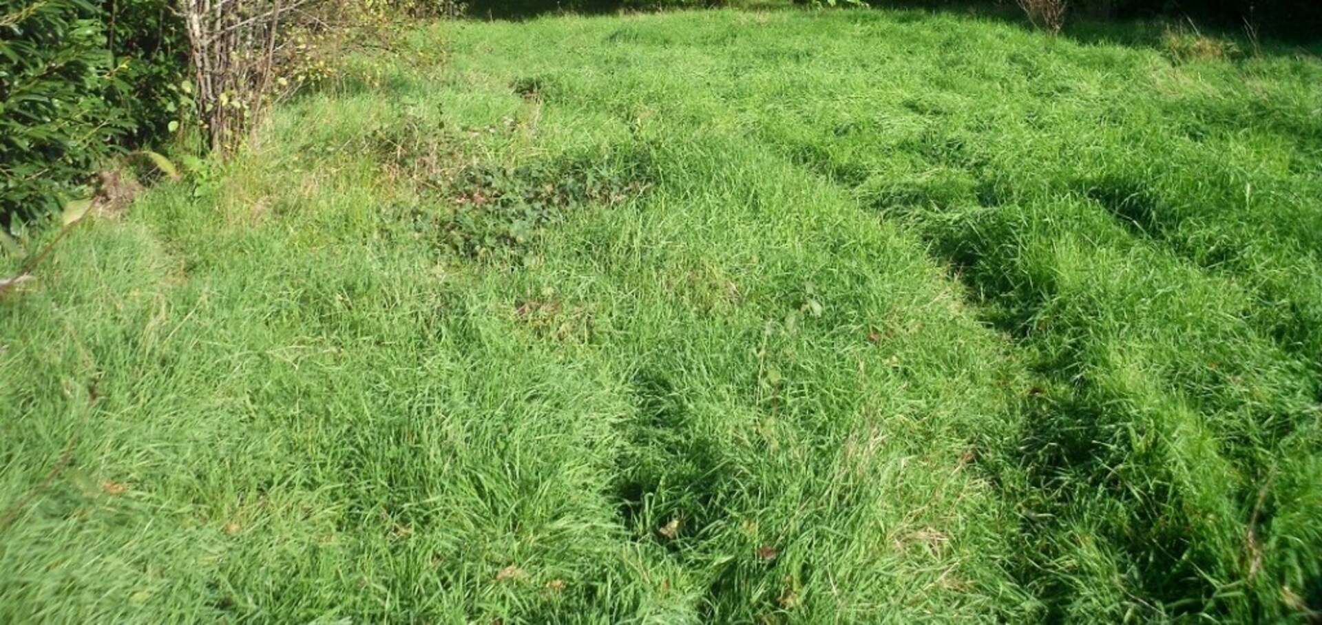 Terrain