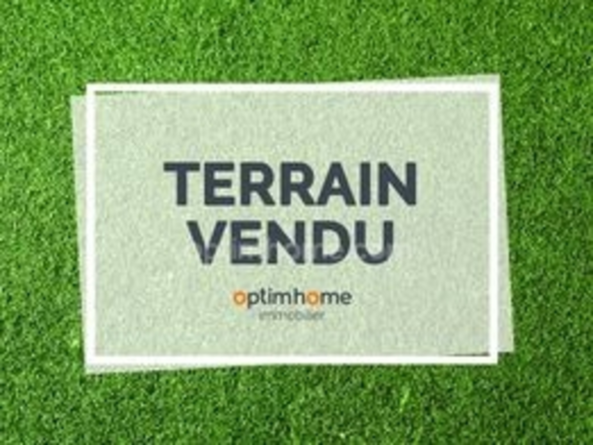 Terrain