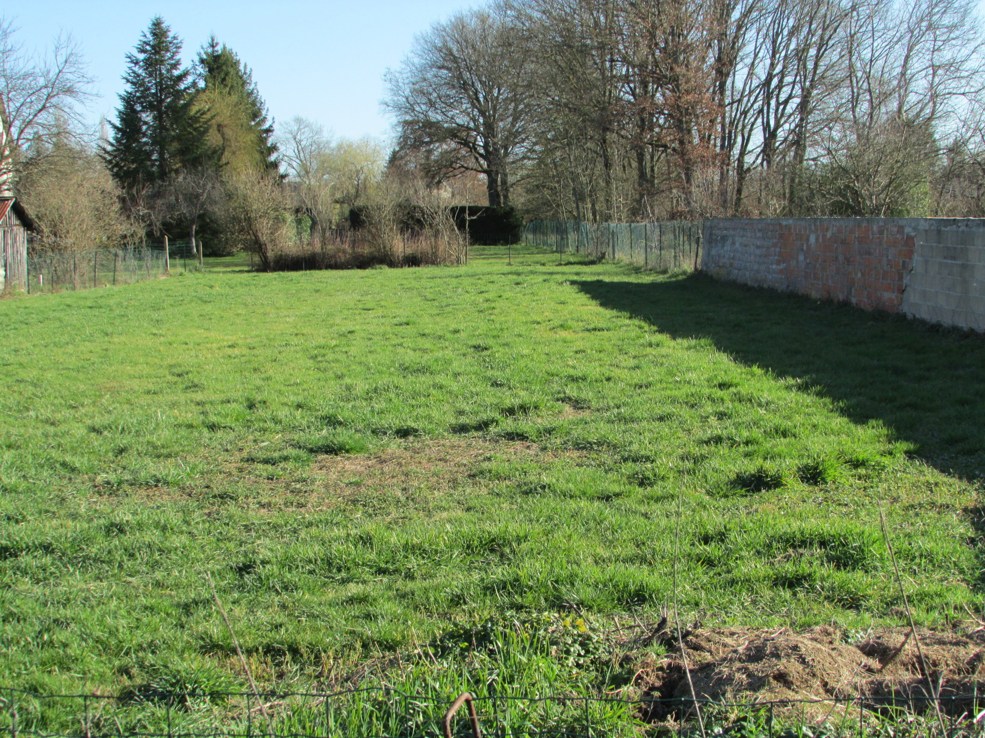 Terrain