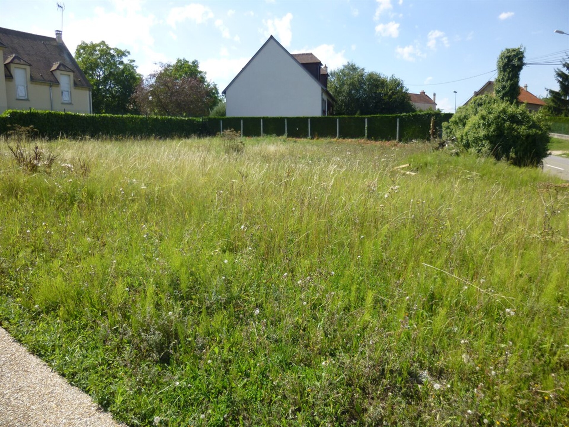 Terrain