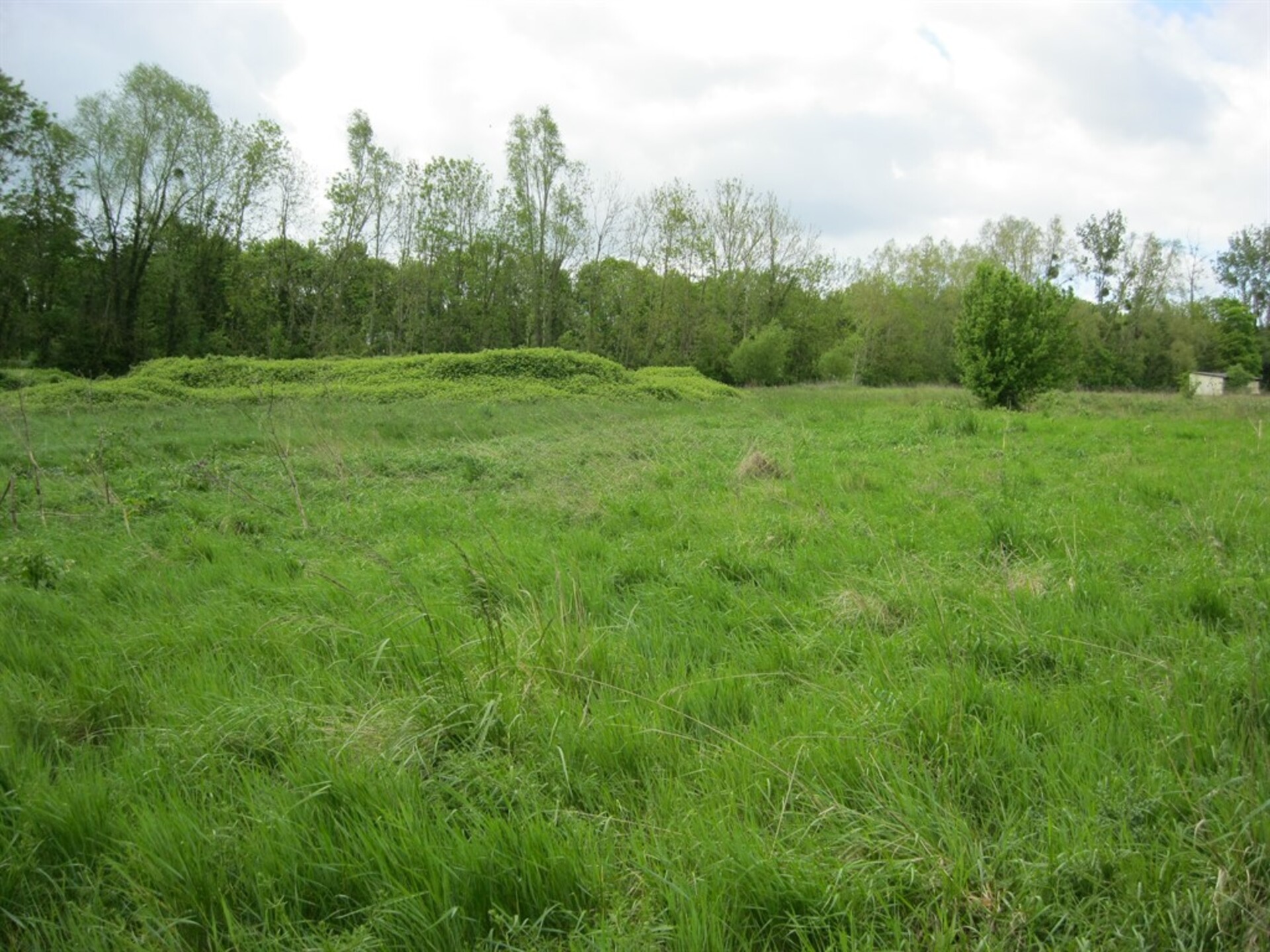 Terrain