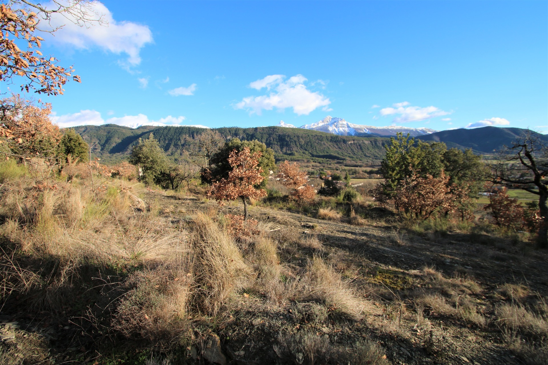 Terrain