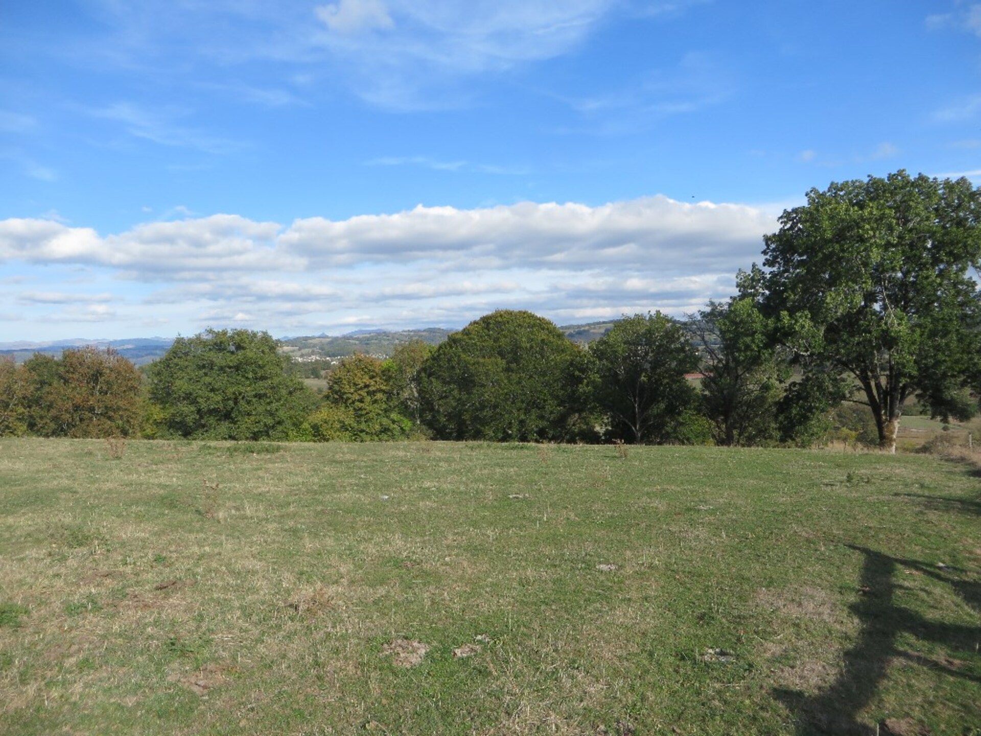 Terrain