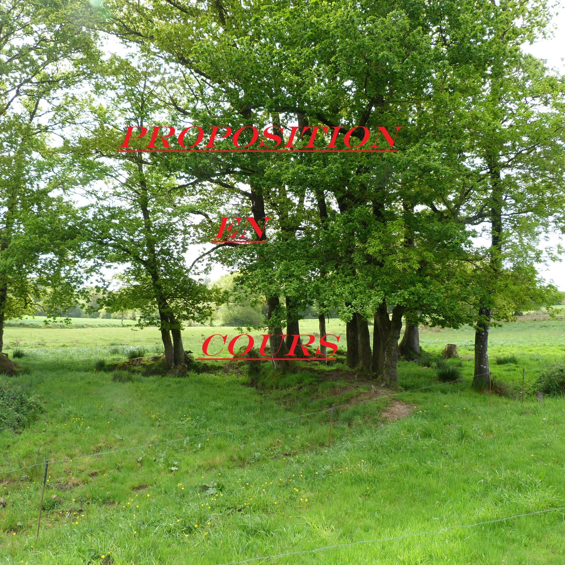 Terrain