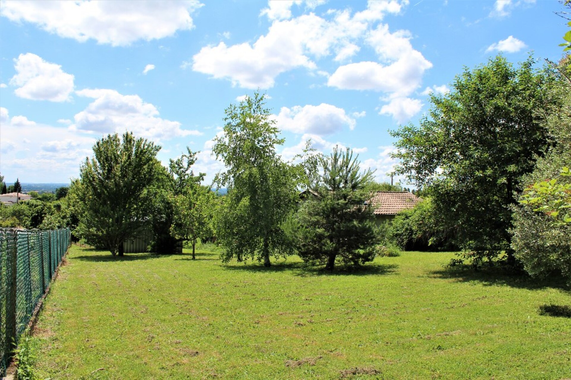 Terrain