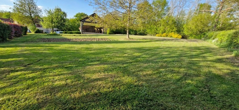 Terrain