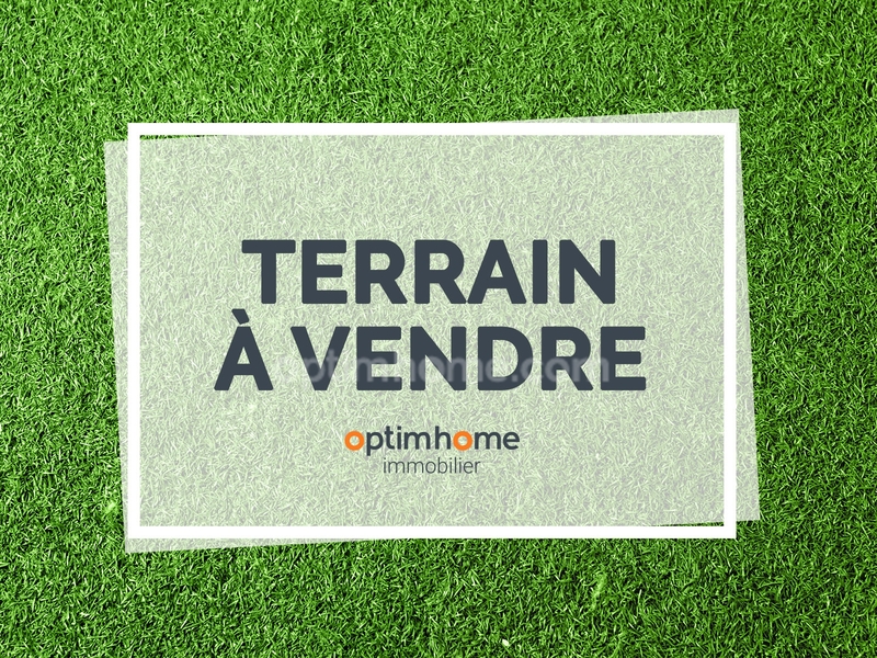 Terrain