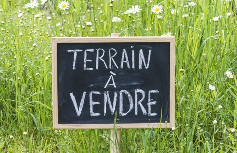 Terrain
