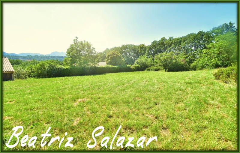 Terrain