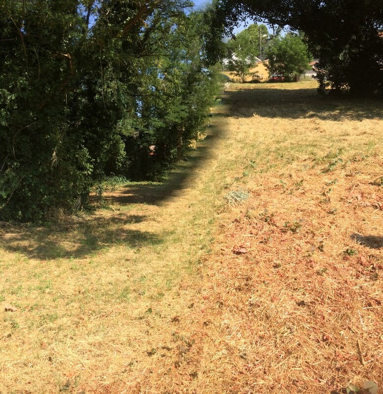 Terrain