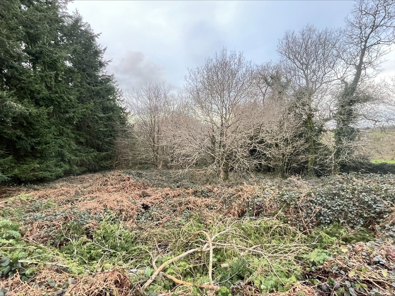 Terrain