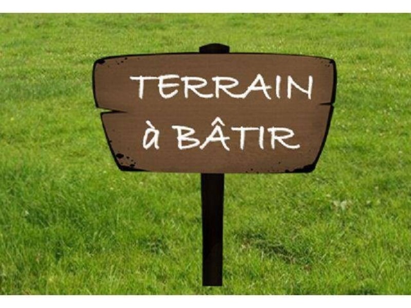 Terrain