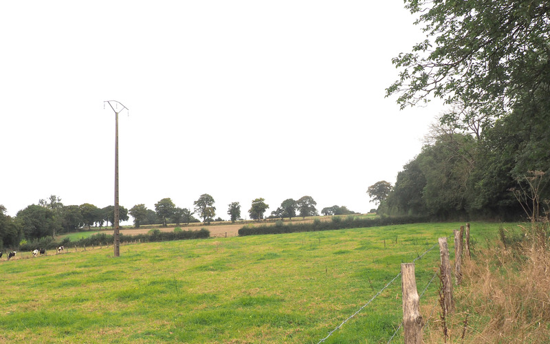 Terrain