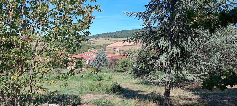 Terrain
