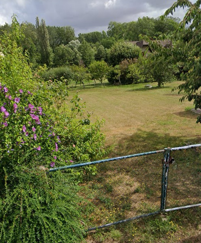 Terrain