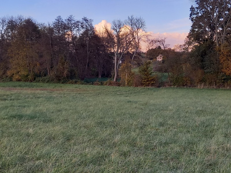 Terrain