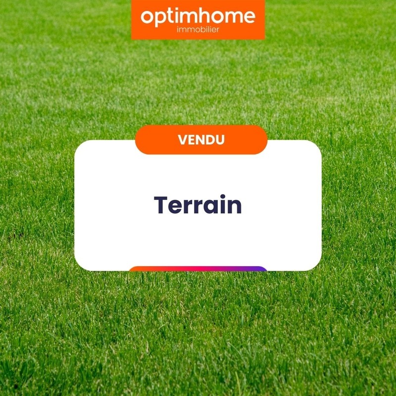 Terrain