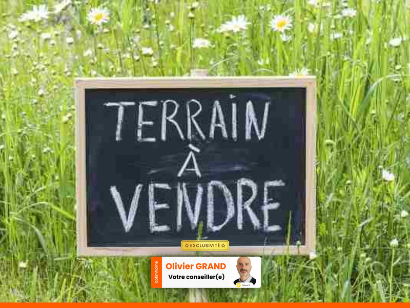Terrain