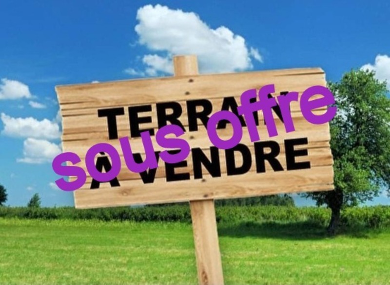 Terrain