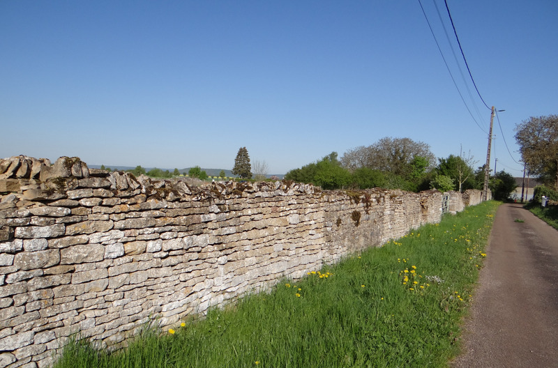 Terrain