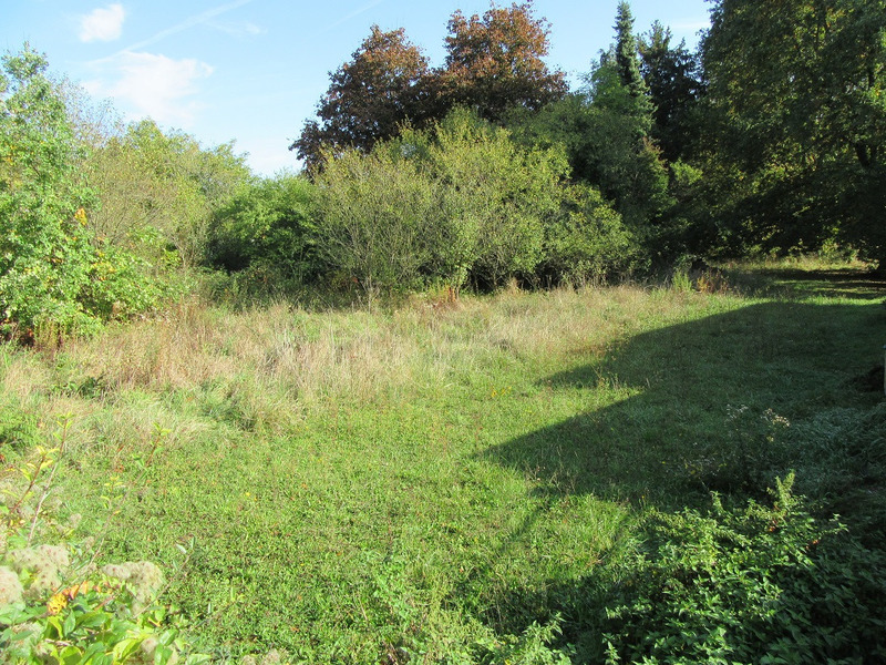 Terrain