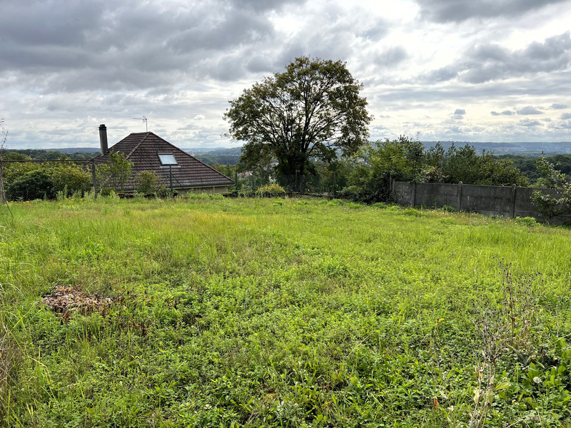 Terrain