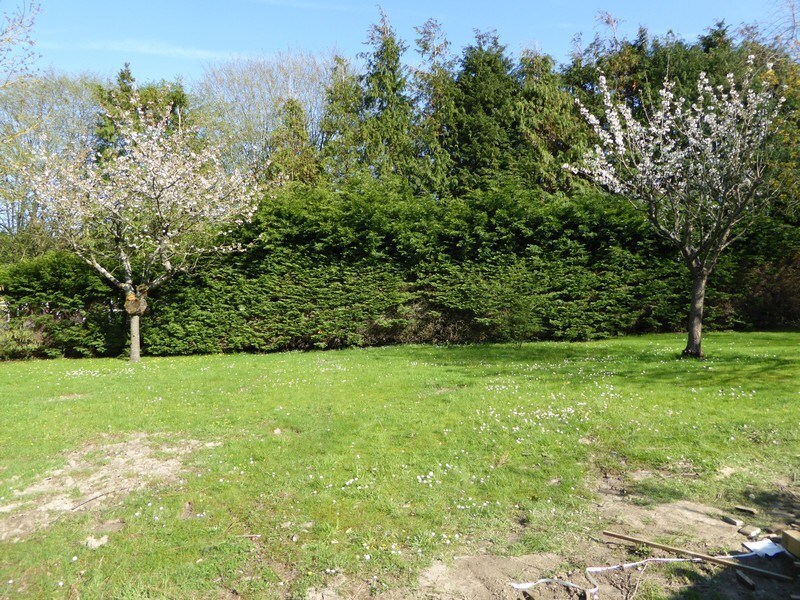 Terrain